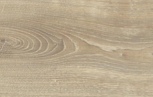 Линолеум Sinteros Status Leon 3 (2,5 м)